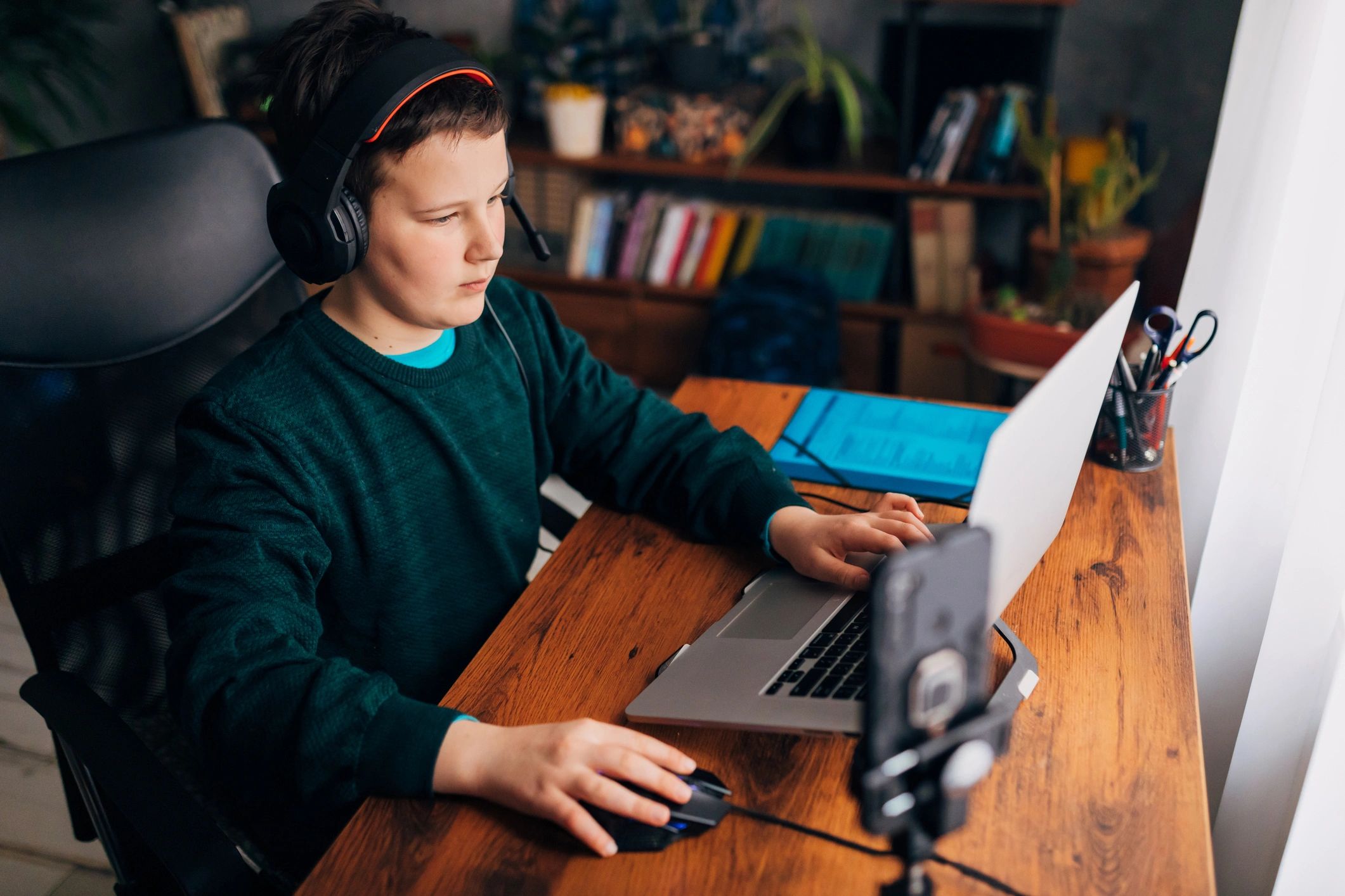 online education gaming advocacy